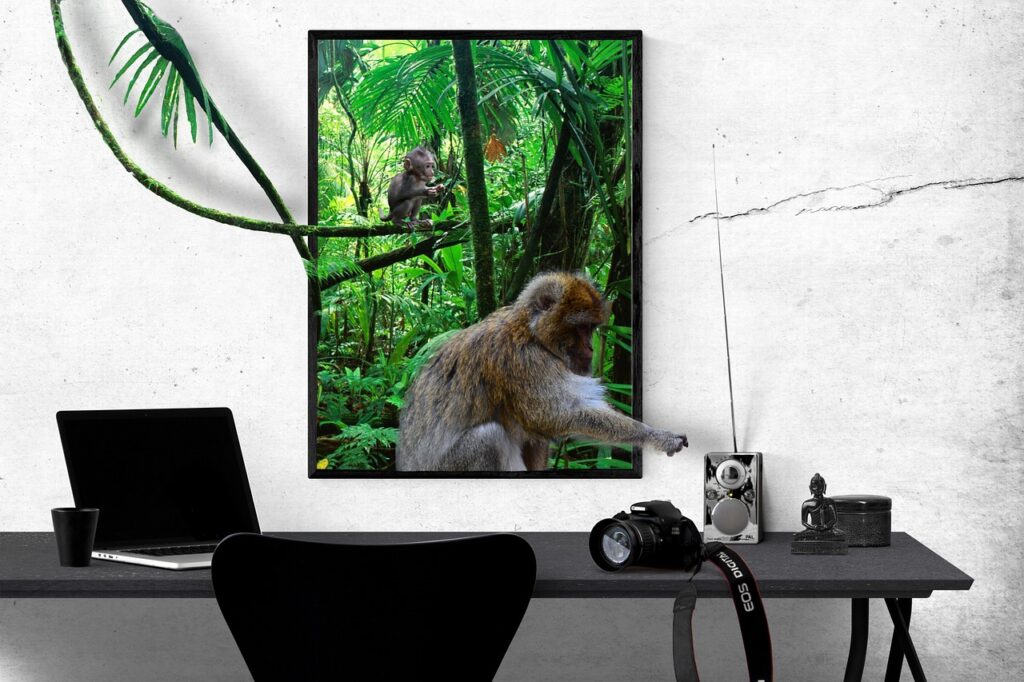 composing, nature, photomontage, digital photo montage, affinity, affinity, affinity, affinity, affinity, affinity